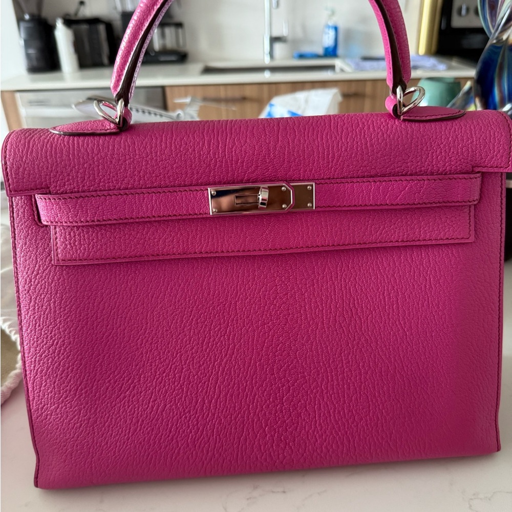 Hermes Chèvre Kelly 20 Handbag - Picture 5 of 11